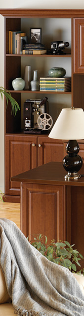 Home Organization Solutions