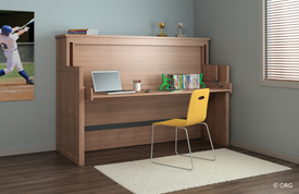 Desk Bed